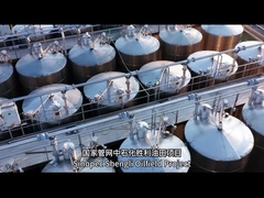 Какие примеры успешных проектов по строительству контейнеров?